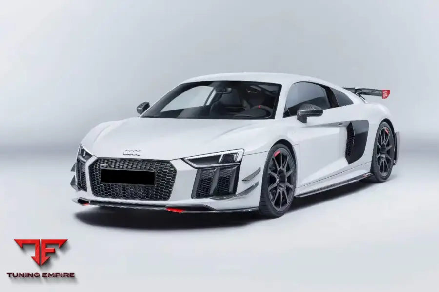 Audi R8 Coupe&Spyder Gt4 Style Dry Carbon Fiber Side Door Panel Blades