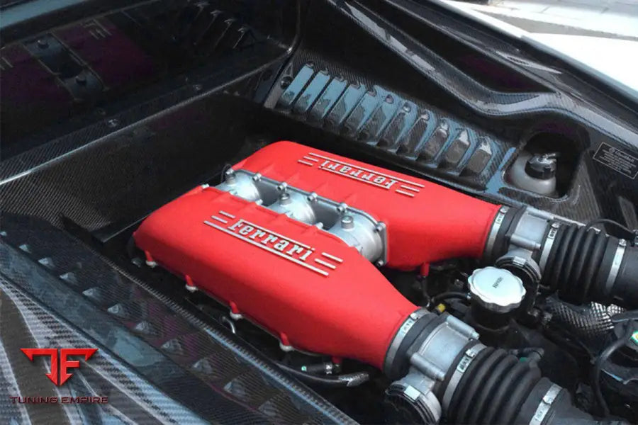 FERRARI 458 COUPE SPYDER OE STYLE DRY CARBON FIBER ENGINE BAY PANELS BSD